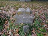 image of grave number 390482